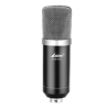 Lane Pro BM-800 Condensed Studio Microphone